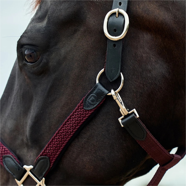 2026 Dublin Braided Leather Headcollar 1031532 - Burgundy